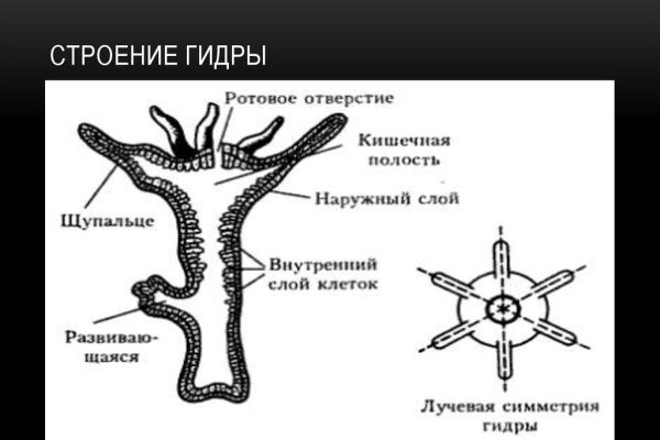 Что с кракеном сайт