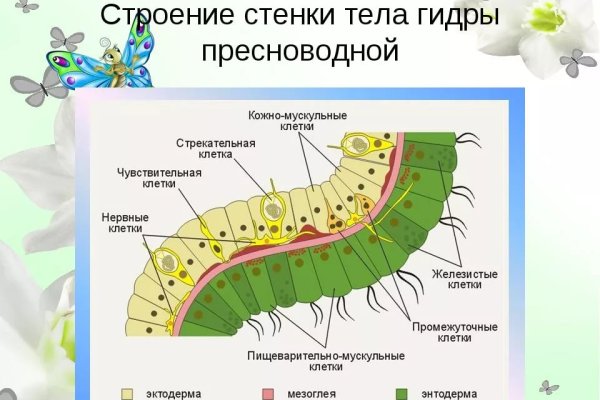 Kraken наркошоп